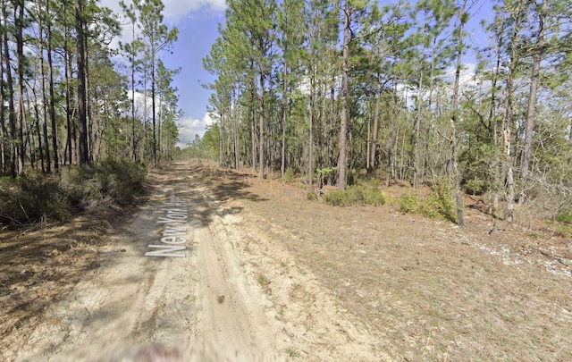 124 New York Ave, Interlachen FL, 32148 land for sale