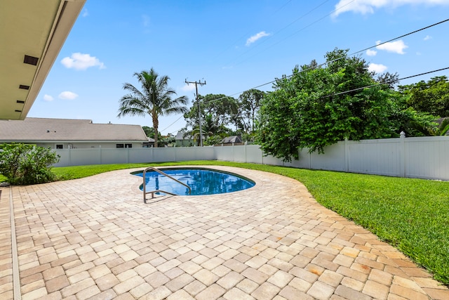 view of pool with a patio and a lawn