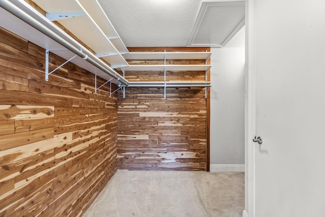 spacious closet with carpet flooring