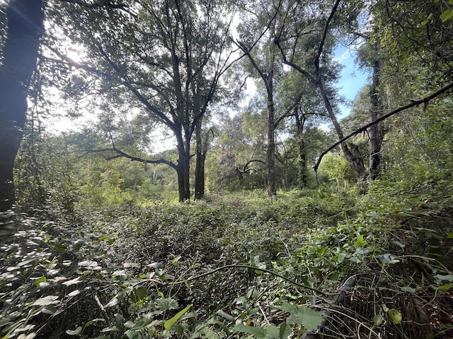 305 Milton Ave, Interlachen, FL 32148