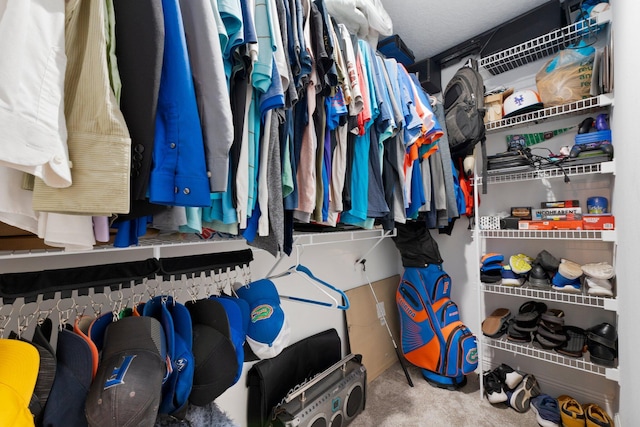 spacious closet featuring carpet