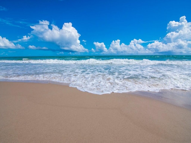 water view with a view of the beach