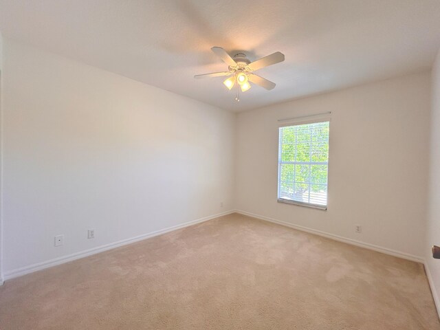 walk in closet featuring carpet floors