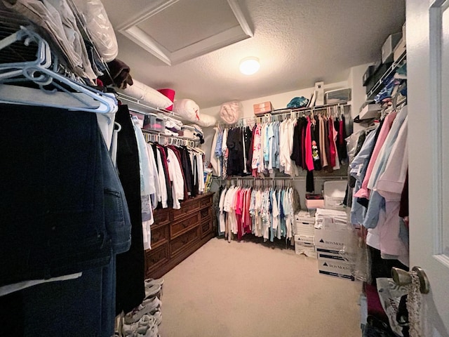 spacious closet featuring carpet flooring