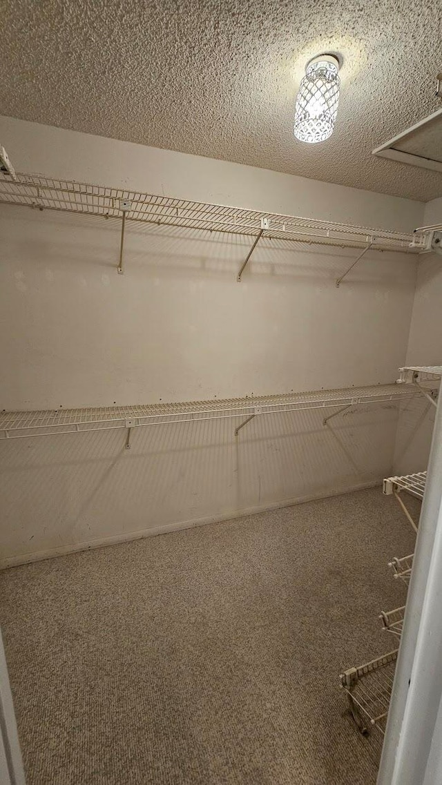 walk in closet with carpet flooring