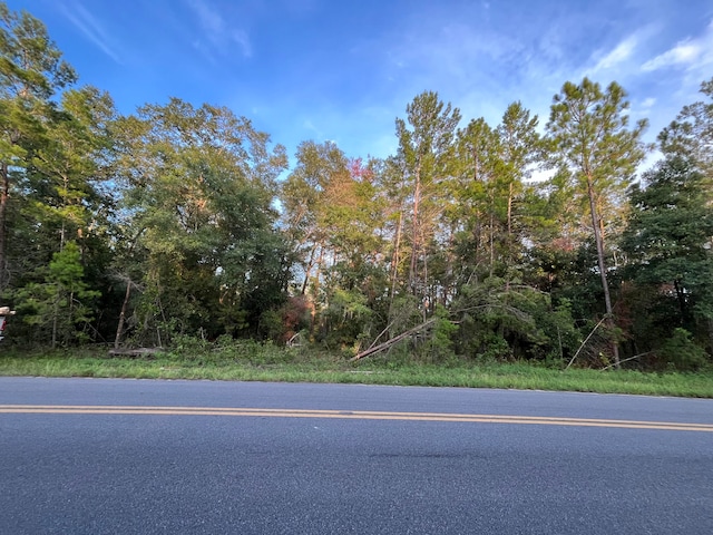 TBD Twin Lakes Rd, Interlachen FL, 32148 land for sale