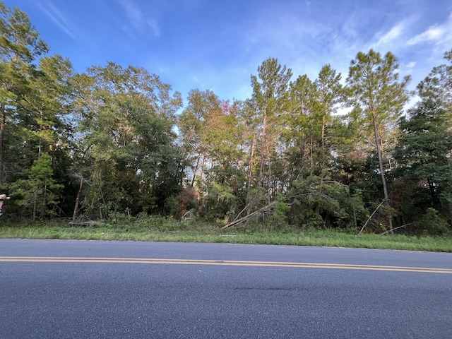 TBD Twin Lakes Rd, Interlachen FL, 32148 land for sale