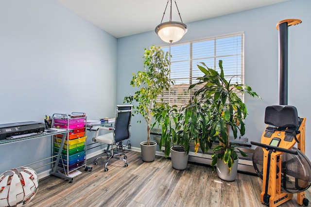 office space featuring wood-type flooring