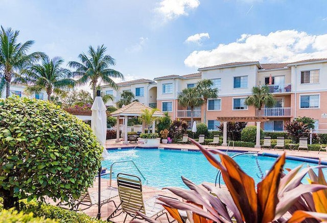 view of swimming pool featuring a patio