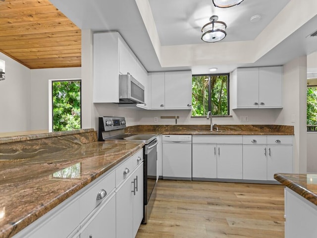 kitchen featuring light hardwood / wood-style floors, stainless steel appliances, plenty of natural light, and white cabinets