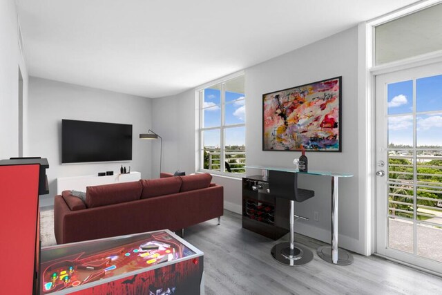 living room with baseboards and wood finished floors