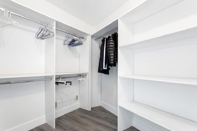 spacious closet featuring wood finished floors