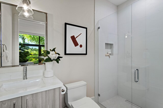 bathroom with vanity, walk in shower, and toilet