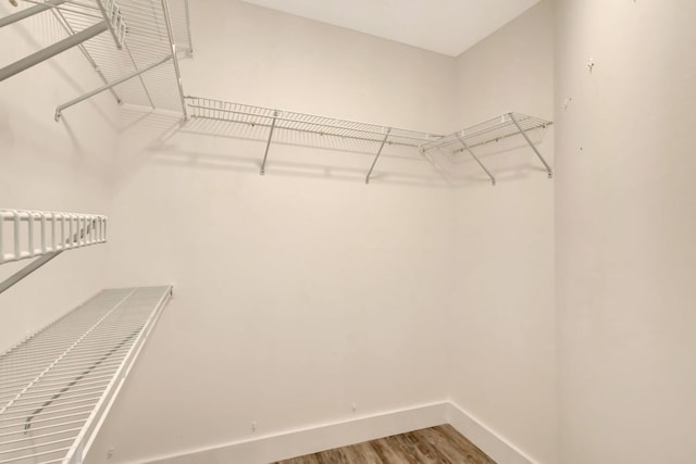 walk in closet with wood finished floors