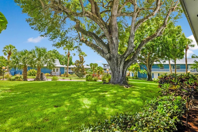 1854 SW Palm City Rd Unit 101, Stuart, FL 34994 - view of green lawn
