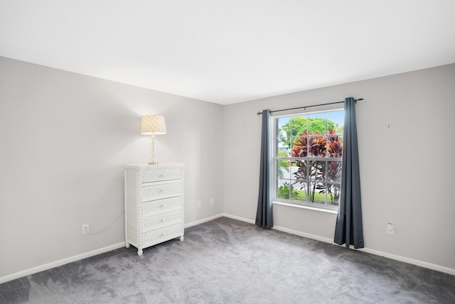 empty room with carpet flooring