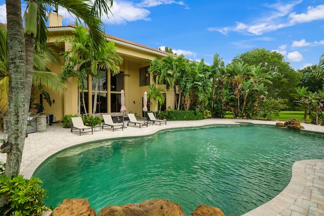 view of swimming pool featuring a patio