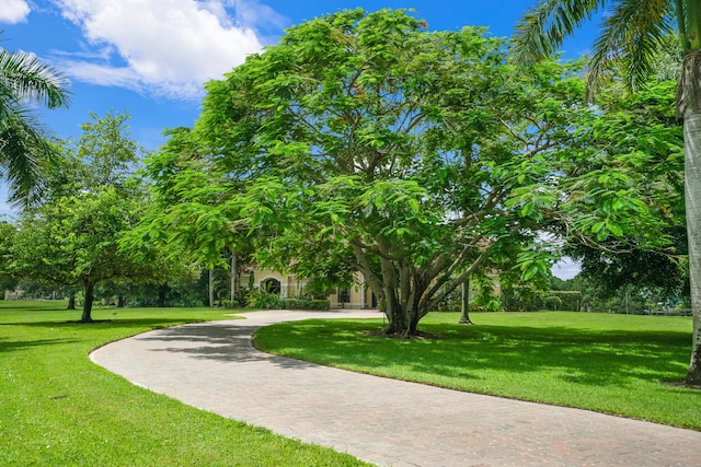 view of property's community with a lawn