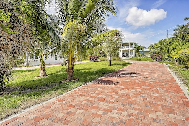 view of community featuring a yard