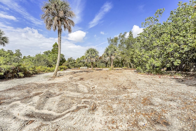 view of local wilderness