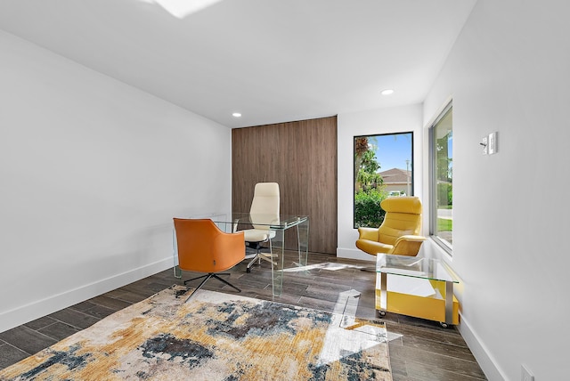 office featuring dark wood-type flooring