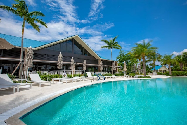 view of swimming pool featuring a patio area