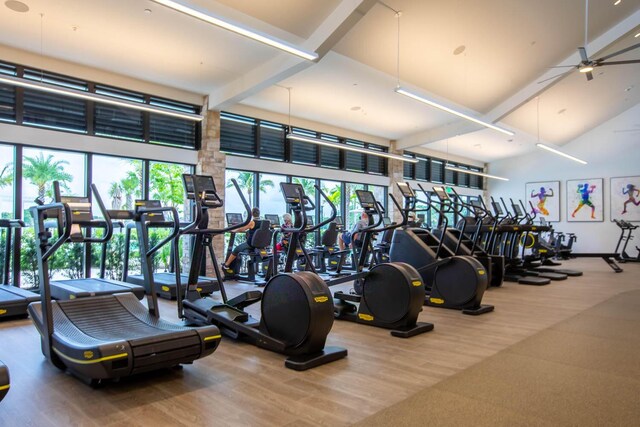 workout area with hardwood / wood-style flooring, plenty of natural light, and ceiling fan