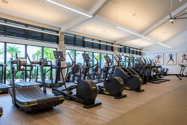 exercise room with hardwood / wood-style flooring, a high ceiling, and ceiling fan