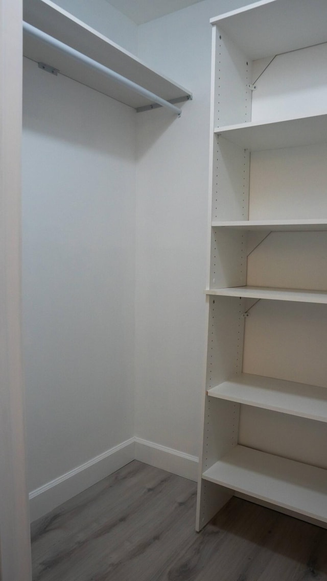 walk in closet featuring wood-type flooring