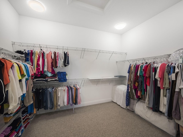 walk in closet featuring carpet