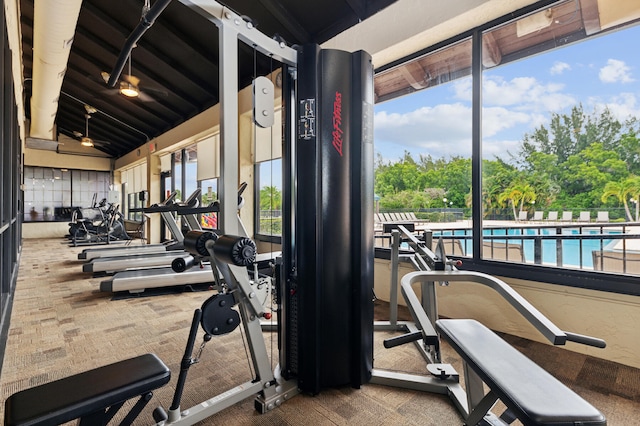 workout area featuring lofted ceiling, carpet floors, and a wealth of natural light