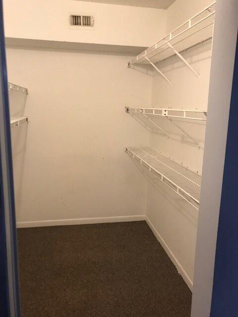 spacious closet with carpet