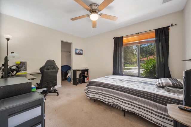 carpeted bedroom with a walk in closet, ceiling fan, and a closet