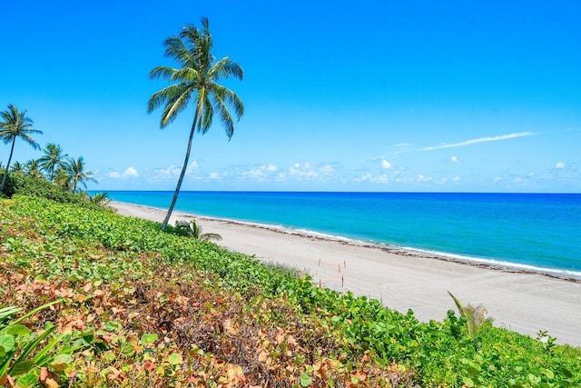 view of water feature featuring a beach view