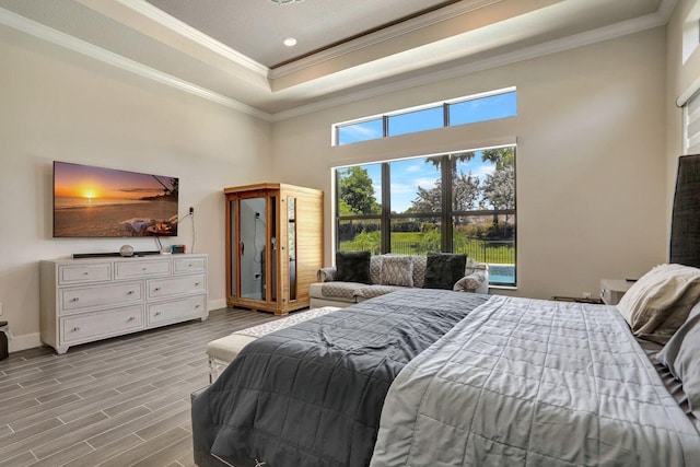 bedroom featuring a raised ceiling and crown molding