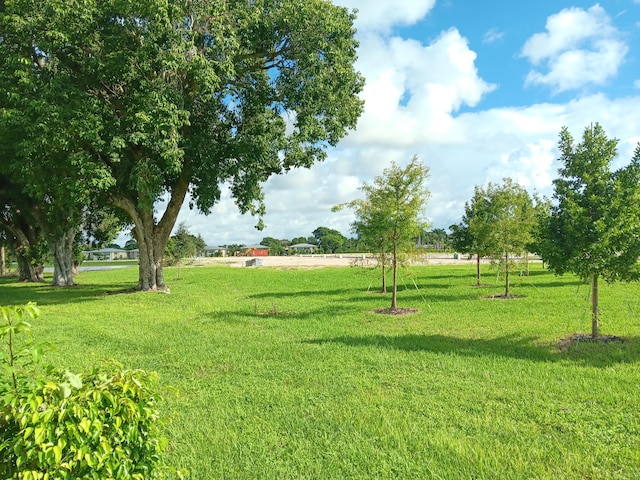 exterior space featuring a yard