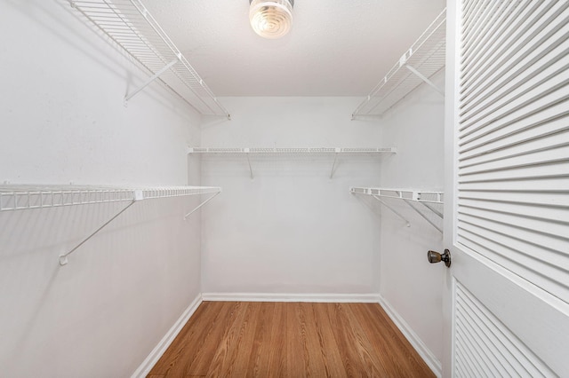 spacious closet with hardwood / wood-style flooring