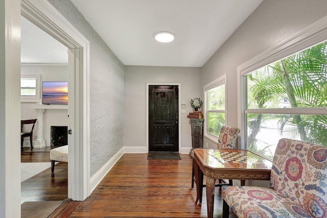 entrance foyer with dark hardwood / wood-style flooring