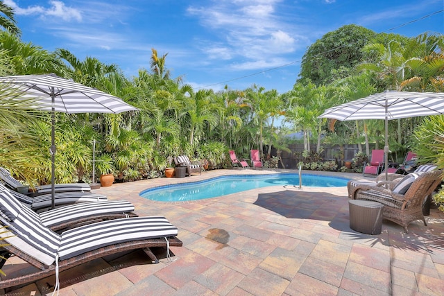 view of swimming pool featuring a patio