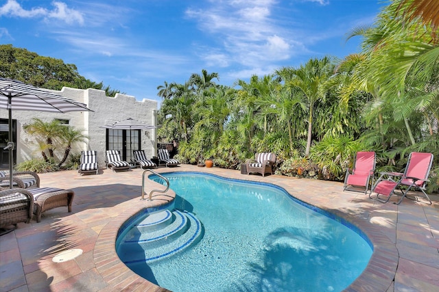 view of swimming pool featuring a patio