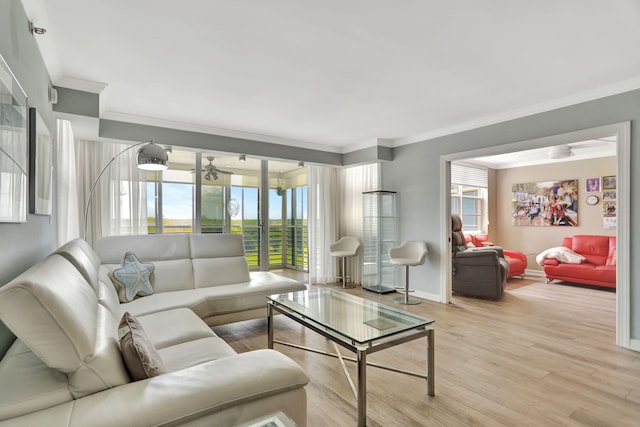 living room featuring ornamental molding and light hardwood / wood-style floors