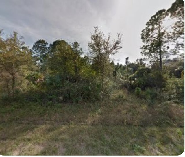 1238 Ramus St E, Lehigh Acres FL, 33974 land for sale