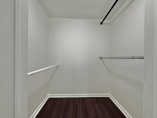 spacious closet featuring wood finished floors