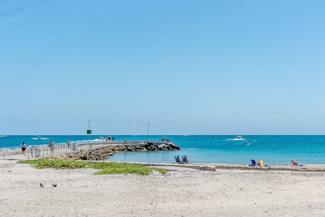 water view with a view of the beach