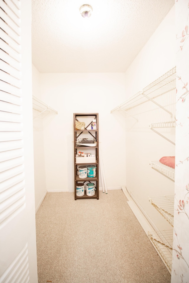 spacious closet with carpet floors