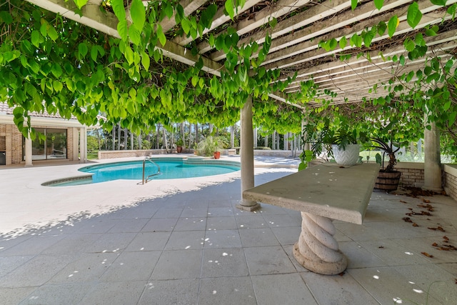 view of swimming pool featuring a patio