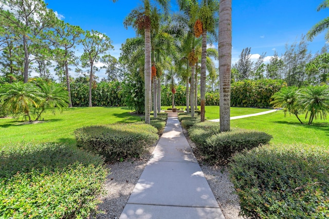 view of property's community with a yard