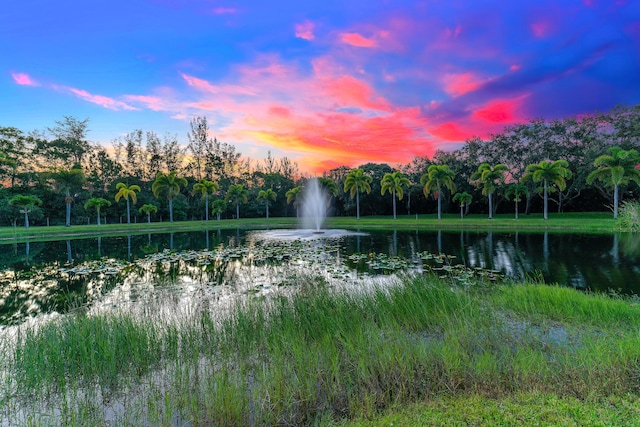 property view of water