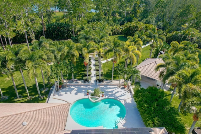 view of pool with a patio area