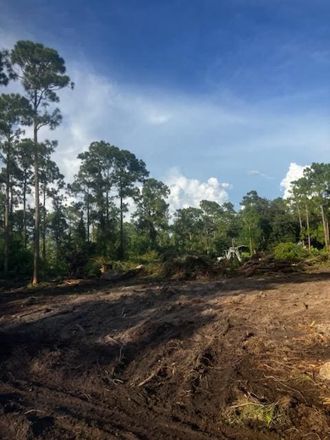 2018 Canton Ave, Alva FL, 33920 land for sale